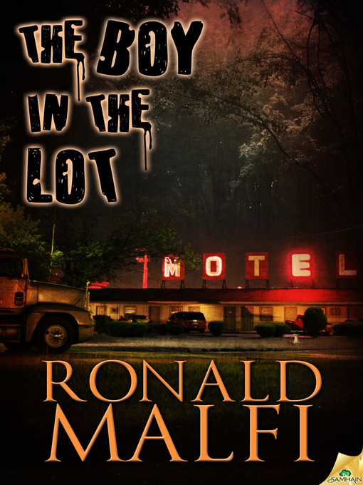 Cover image for The Boy in the Lot